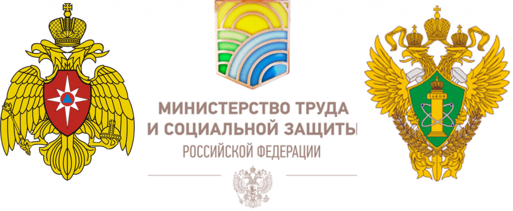 Министерство труда и социальной защиты российской федерации презентация